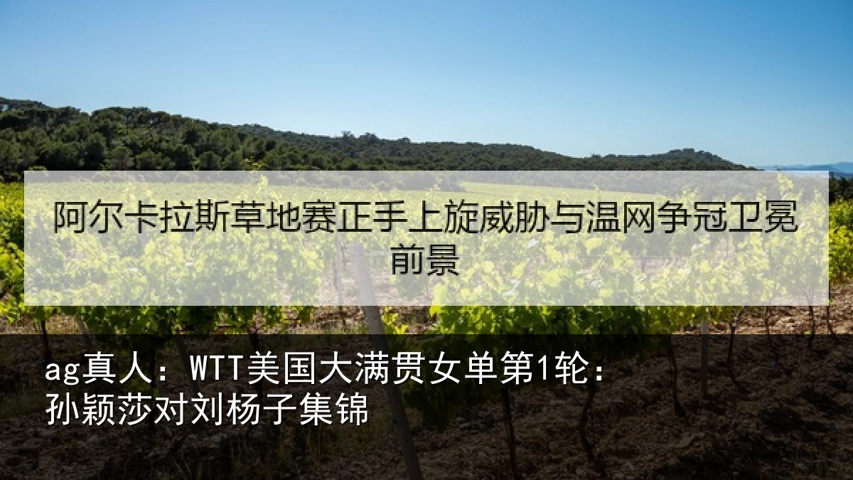ag真人：WTT美国相关情况颖莎对刘杨子集锦