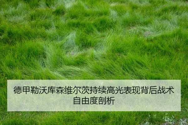 de-jia-lei-wo-ku-sen-wei-er-ci-chi-xu-gao-guang-biao-xian-bei-hou-zhan-shu-zi-you-du-pou-xi-3-996.jpg