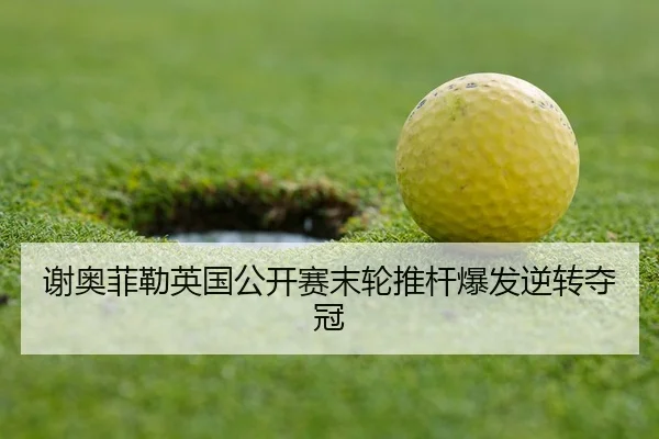 xie-ao-fei-lei-ying-guo-gong-kai-sai-mo-lun-tui-gan-bao-fa-ni-zhuan-duo-guan-2-485.jpg