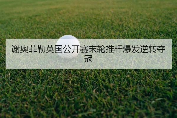 xie-ao-fei-lei-ying-guo-gong-kai-sai-mo-lun-tui-gan-bao-fa-ni-zhuan-duo-guan-3-507.jpg